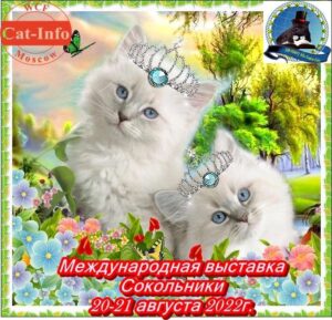 Архив выставок