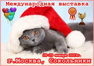 Архив выставок