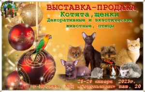 Архив выставок