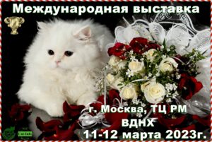 Архив выставок