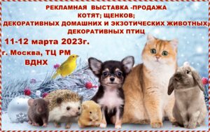 Архив выставок