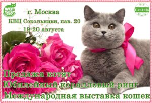 Архив выставок