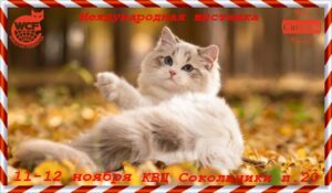 Главная